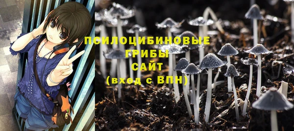 а пвп мука Березники