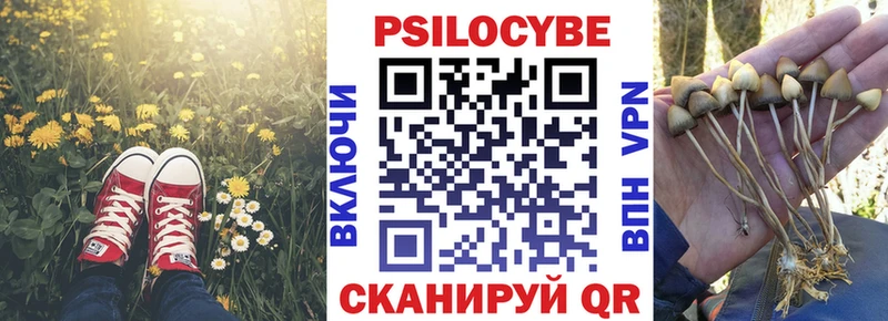 Псилоцибиновые грибы прущие грибы  купить закладку  Миньяр 