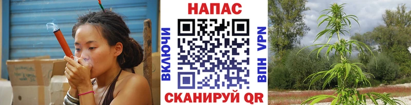 Шишки марихуана планчик  Миньяр 